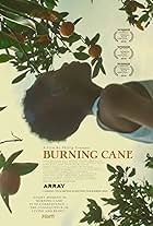 Burning Cane