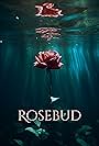 Rosebud (2004)