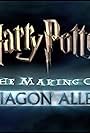 Harry Potter: The Making of Diagon Alley (2014)