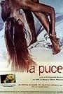 La puce (1999)