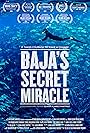 Baja's Secret Miracle (2014)