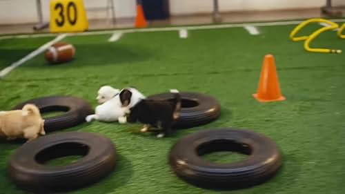 The Pup-Letes Pedigree Commercial