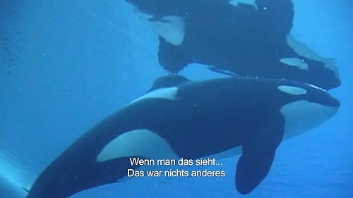 Blackfish: Ein Walbaby Wird Von Seiner Mutter Getrennt (German Subtitled)