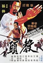 The Kung Fu Instructor