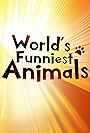 The World's Funniest Animals (2020)