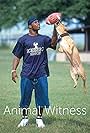 Animal Witness (2008)