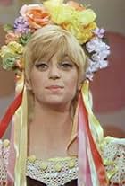 Goldie Hawn in Rowan & Martin's Laugh-In (1967)