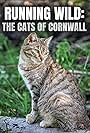 Running Wild: The Cats of Cornwall (2020)