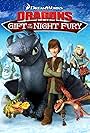 Dragons: Gift of the Night Fury (2011)