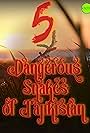 Five Dangerous Snakes of Tajikistan (2017)