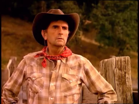 Harry Dean Stanton in The French as Seen by... (1988)