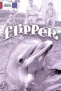 Primary photo for Flipper's New Friends: Part 2