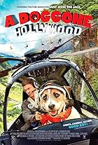 A Doggone Hollywood