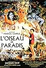 L'oiseau de paradis (1962)