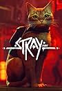 Stray (2022)