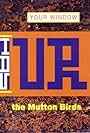 The Mutton Birds: Your Window (1993)