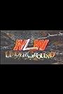 Major League Wrestling: The Underground (2003)