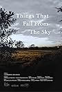 Things That Fall from the Sky (2016)