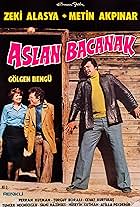 Aslan Bacanak