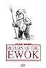 Return of the Ewok (Video 1982) Poster