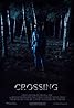 Crossing (2013) Poster