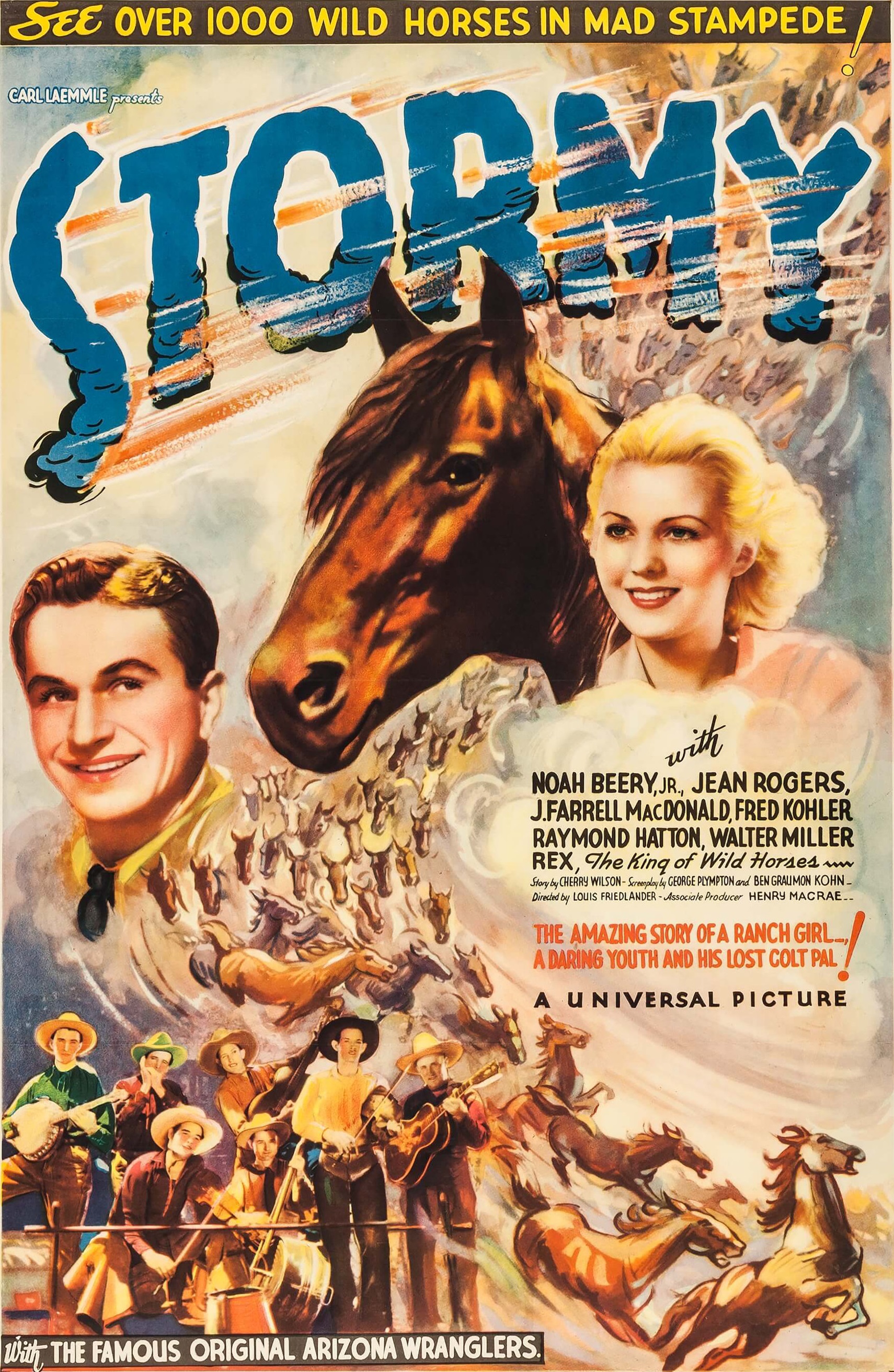 Noah Beery Jr., Chuck Baldra, L.F. Costello, Charles Hunter, John Jackson, Jack Kirk, Johnny Luther, Cactus Mack, Jean Rogers, Cal Short, Glenn Strange, Rex, and The Arizona Wranglers in Stormy (1935)