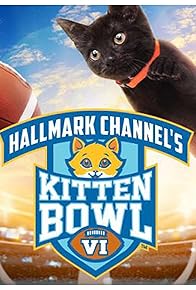 Primary photo for Kitten Bowl VI