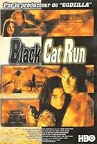 Black Cat Run