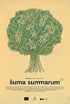 Suma summarum