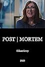 Post Mortem (2023)