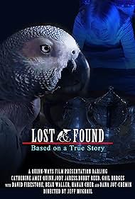 48 hour Lost & Found (2020 IV) (2020)