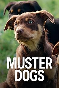 Primary photo for Muster Dogs