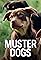 Muster Dogs's primary photo