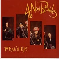 Primary photo for 4 Non Blondes: What's Up?