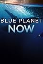 Blue Planet Now (2019)