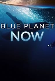 Blue Planet Now (2019)