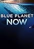 Blue Planet Now (TV Mini Series 2019) Poster