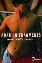 Adam in Fragments