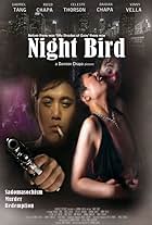 Night Bird