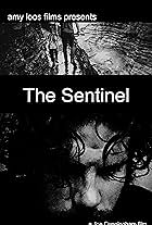 The Sentinel