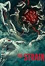 The Strain