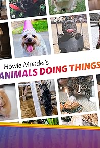 Primary photo for Howie Mandel's Animals Doing Things