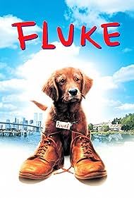 Fluke (1995)