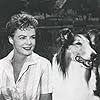 June Lockhart and Lassie in Lassie (1954)