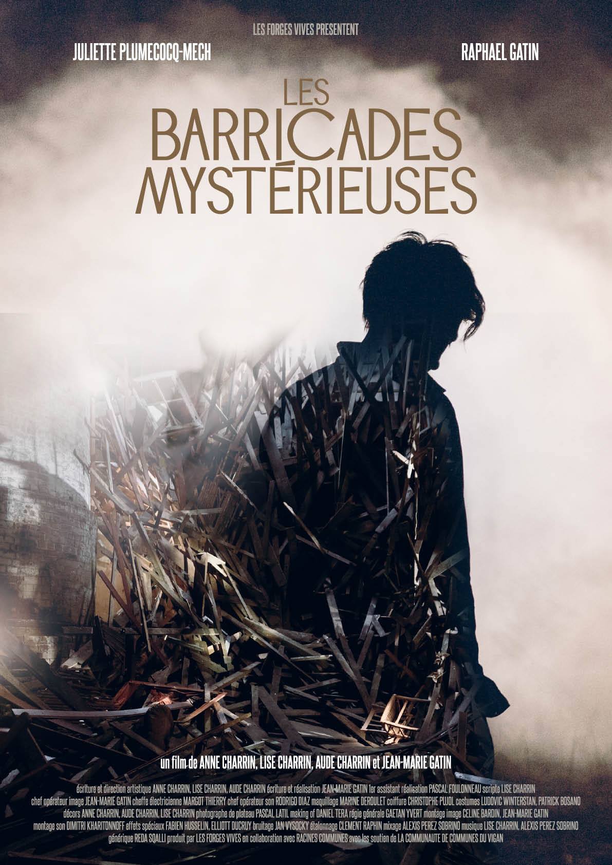 Dante et les barricades mystérieuses (2017)