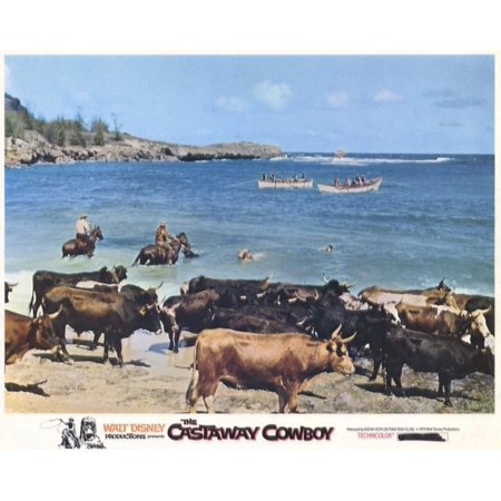 The Castaway Cowboy (1974)