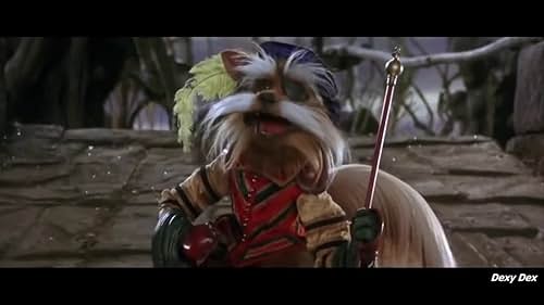 Sir Didymus