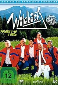 Wildbach (1993)