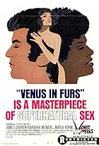 Venus in Furs