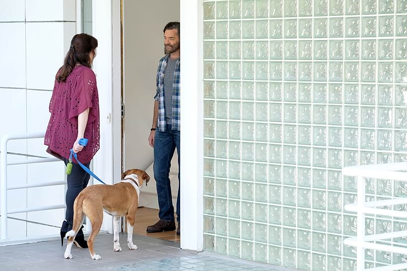 Timothy Omundson, Allison Tolman, Samm Hodges, and Ned the Dog in Downward Dog (2017)